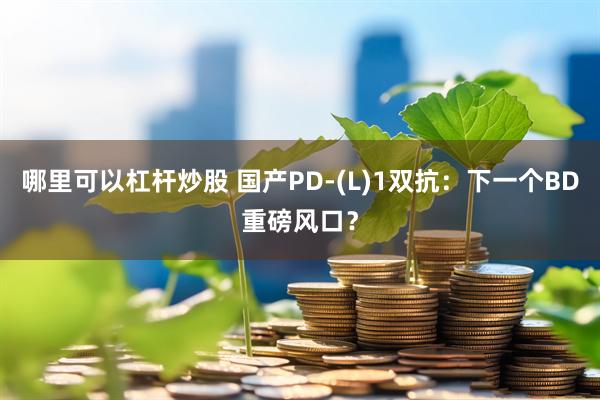 哪里可以杠杆炒股 国产PD-(L)1双抗：下一个BD重磅风口？